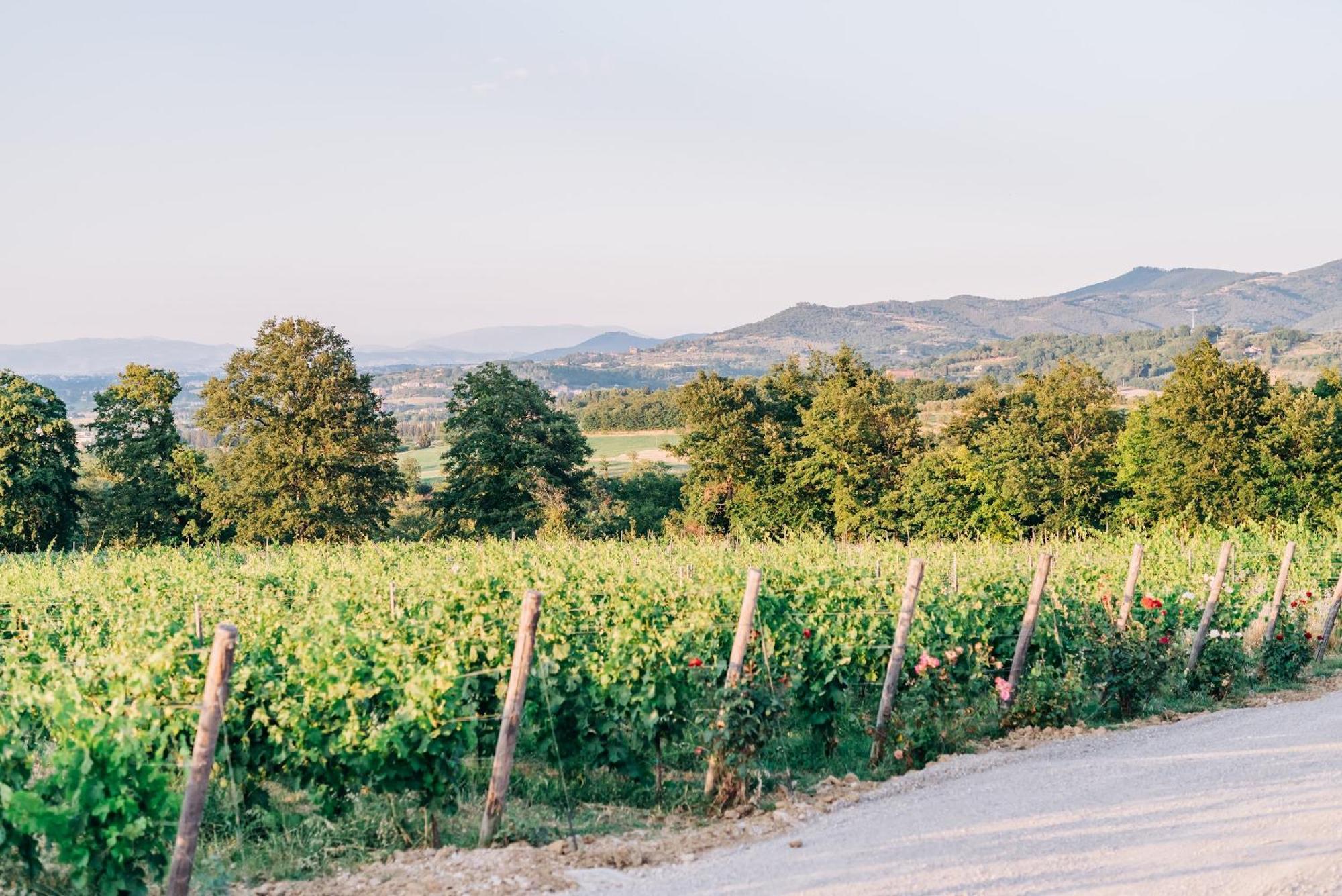 Antico Podere Siliano Villa Città della Pieve Esterno foto